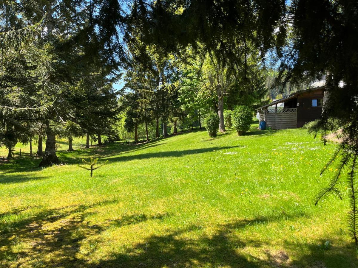 Schwarzwald - Villa Appartments Titisee 외부 사진