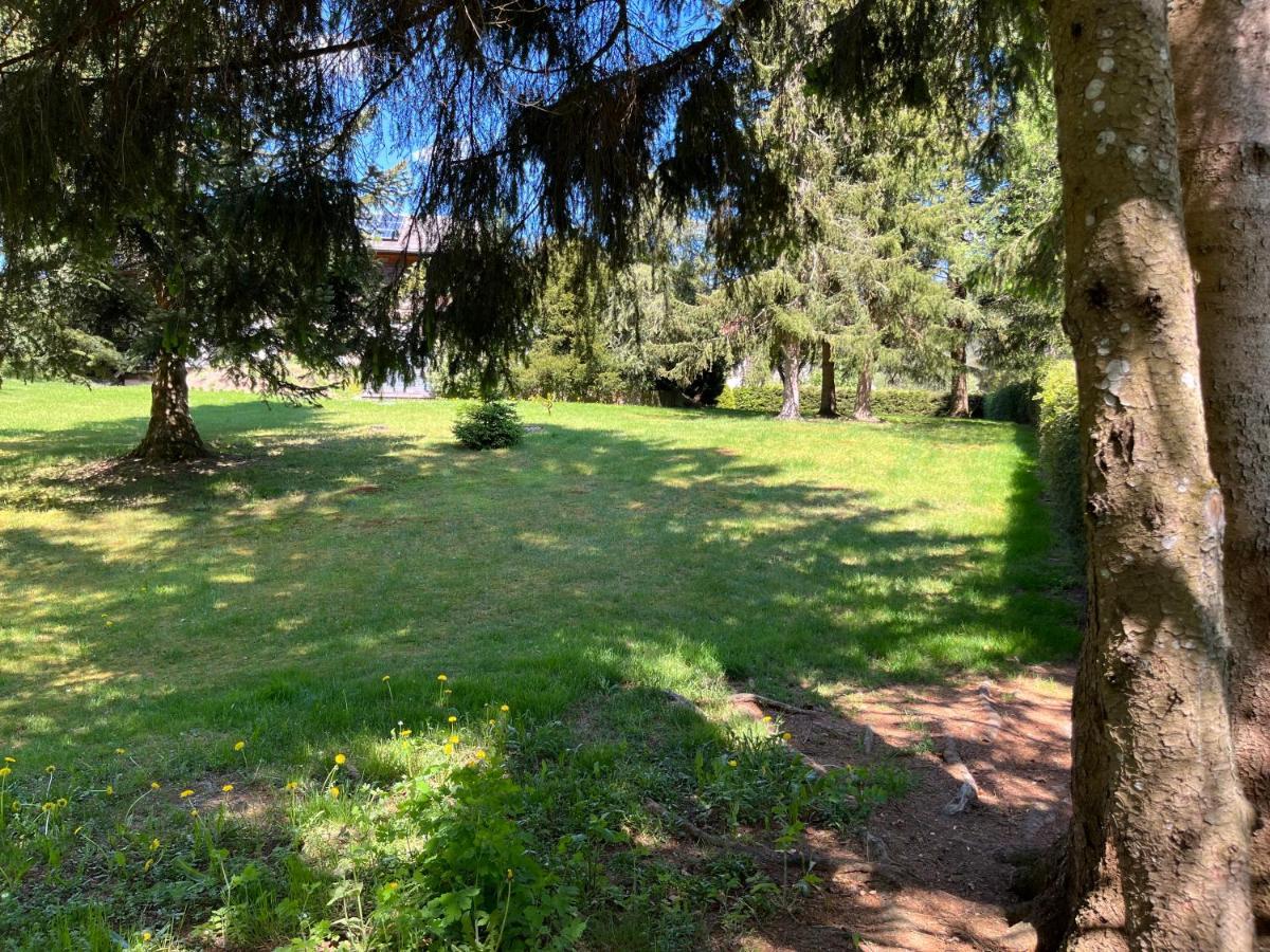 Schwarzwald - Villa Appartments Titisee 외부 사진