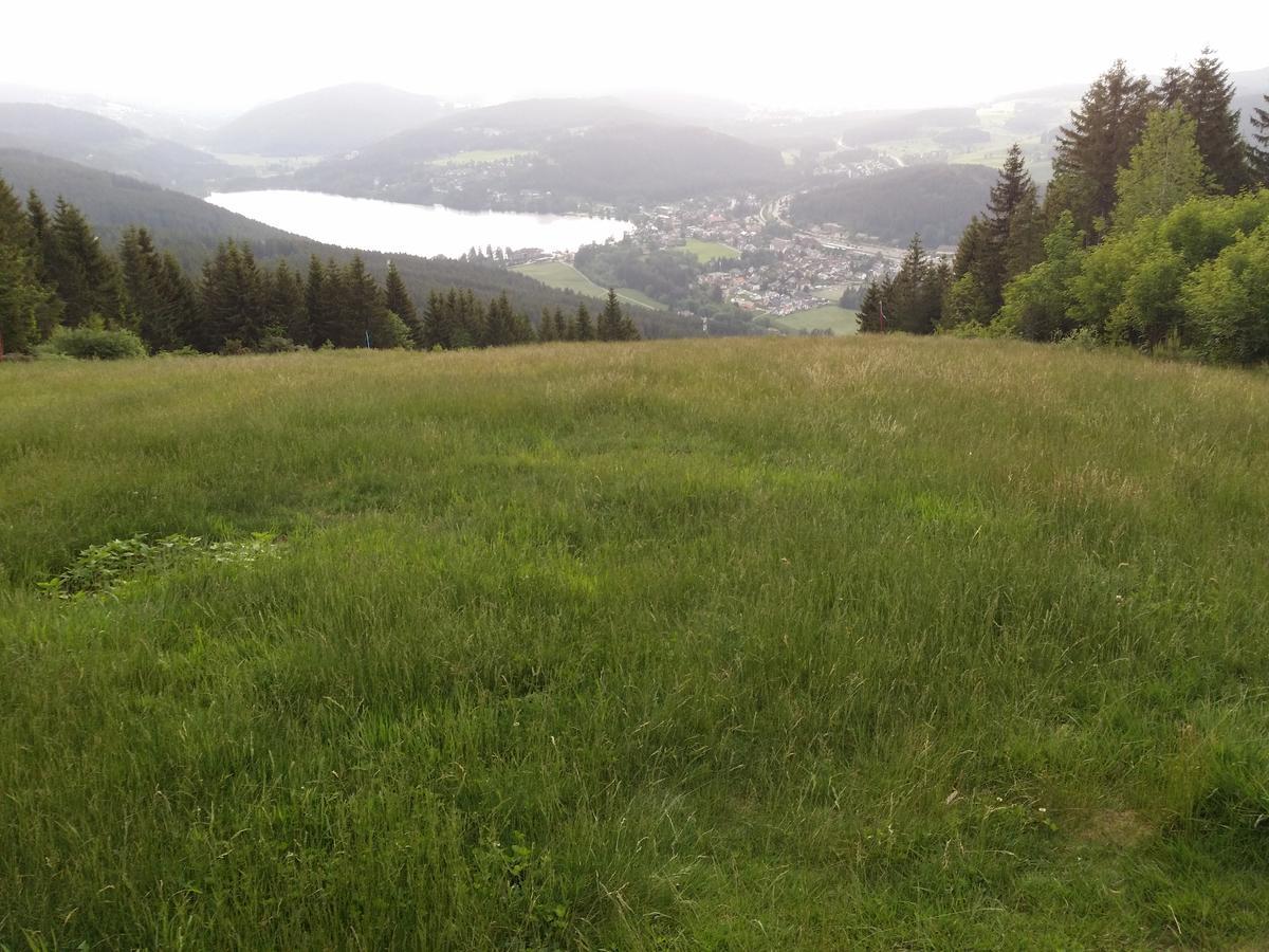 Schwarzwald - Villa Appartments Titisee 외부 사진