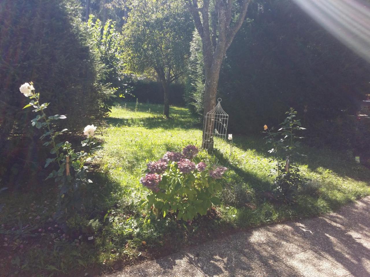 Schwarzwald - Villa Appartments Titisee 외부 사진